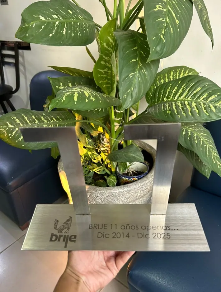 Trofeo de aniversario en acero cortado con placa grabada